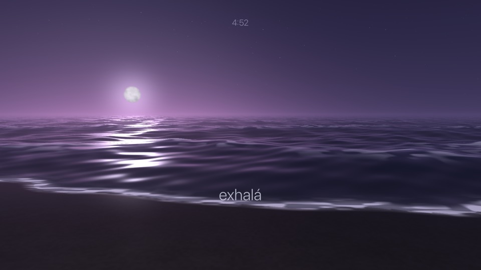 Beach at dawn: the shoreline with foam and a low moon